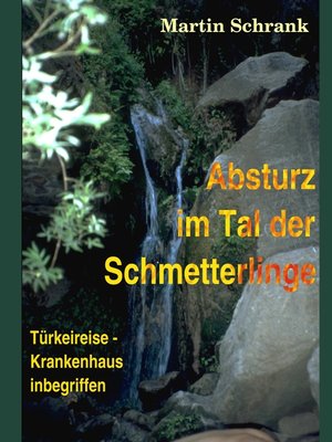 cover image of Absturz im Tal der Schmetterlinge